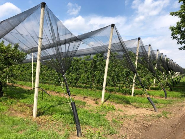 Cerchietto – impianti antigrandine