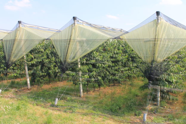 foto per SECONDO ARTICOLO