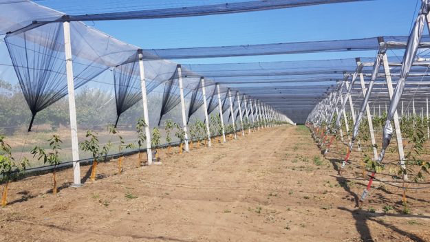 foto per TERZO ARTICOLO