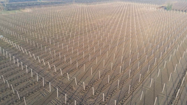 pali-cemento-frutteti Pali in cemento per frutteti